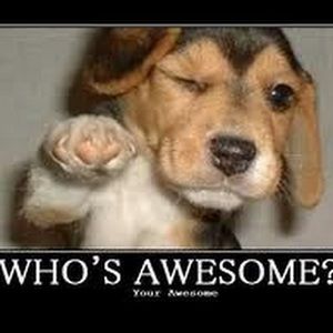 Meet your Posher, Crystal